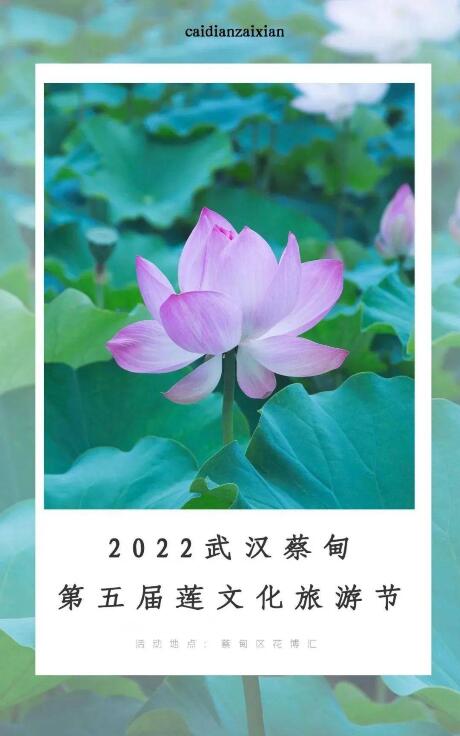QQ截圖20220716144840.jpg