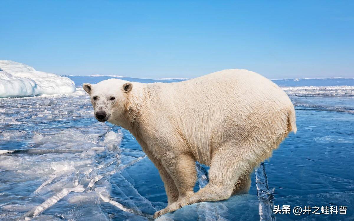 QQ圖片20230315220441.jpg