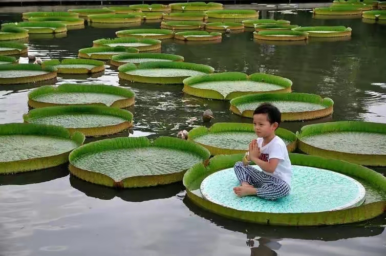 QQ圖片20230412202635.jpg