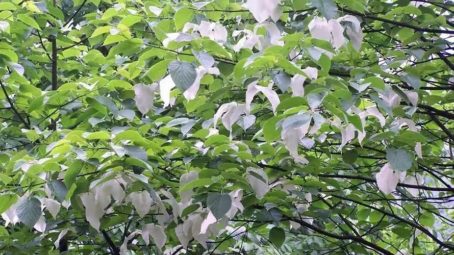 QQ圖片20230412202736.jpg
