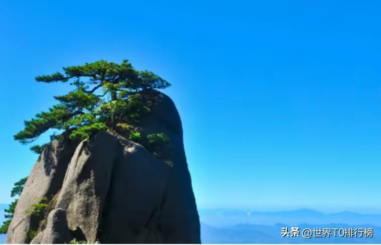 QQ圖片20230331231844.jpg