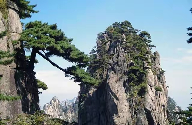 QQ圖片20230331232342.jpg
