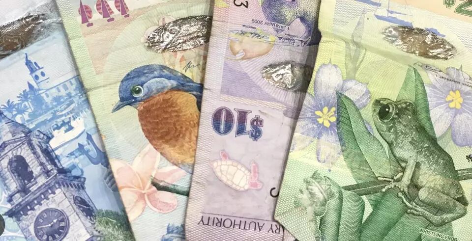 QQ圖片20230401090821.jpg