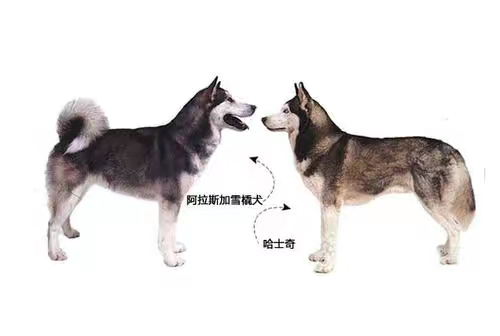 QQ圖片20230424190043.jpg