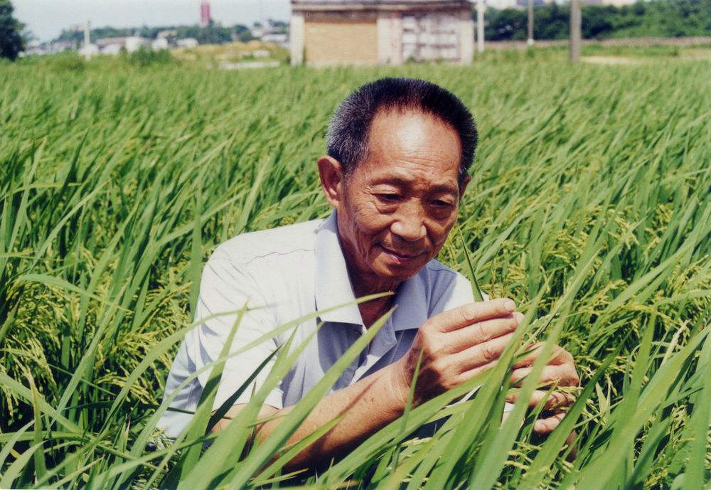 QQ圖片20220814161741.jpg