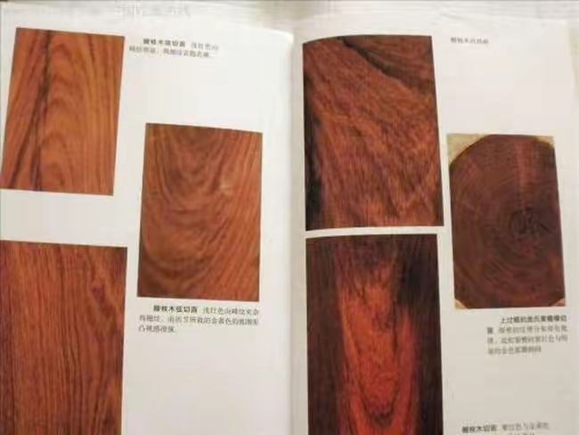 QQ圖片20221112203312.jpg