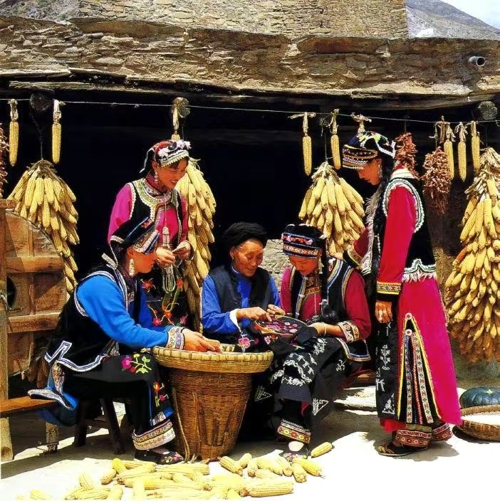 QQ圖片20221113094806.jpg