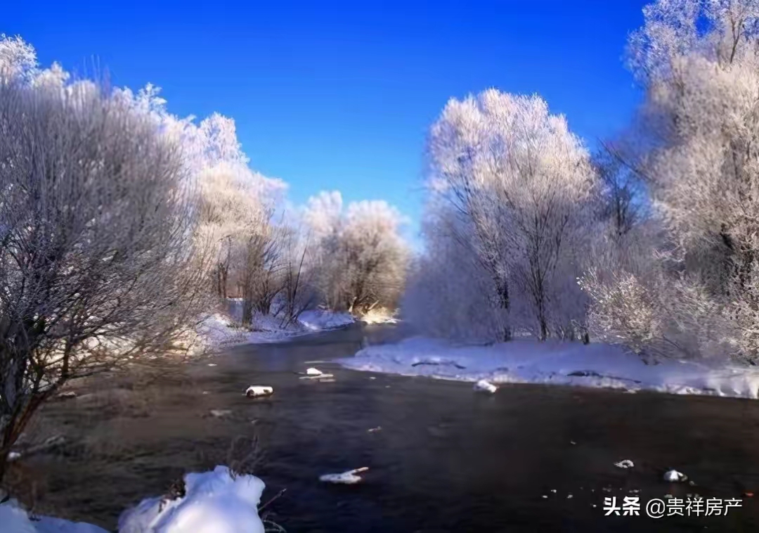 QQ圖片20221118103918.jpg
