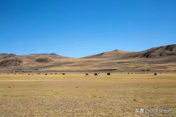 QQ圖片20221118195519.jpg