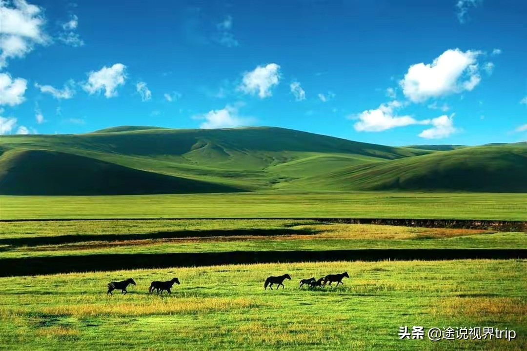 QQ圖片20221118200814.jpg