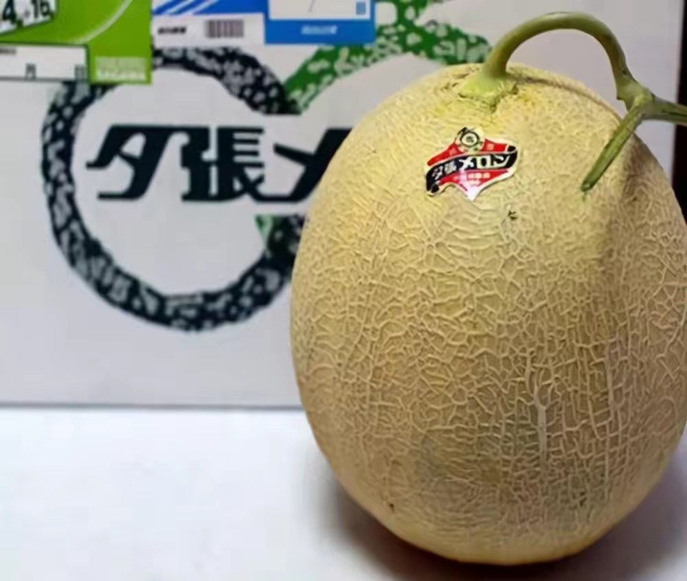 QQ圖片20221121213139.jpg
