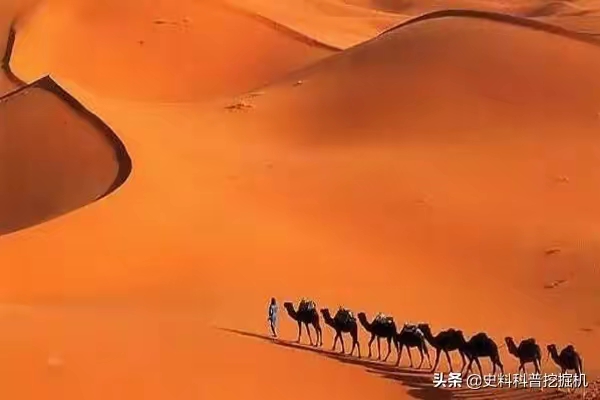 QQ圖片20230105214355.jpg