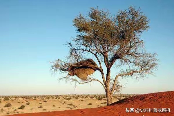 QQ圖片20230105214717.jpg