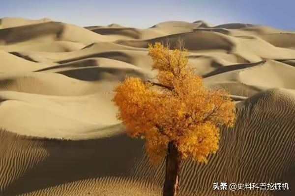 QQ圖片20230105215018.jpg