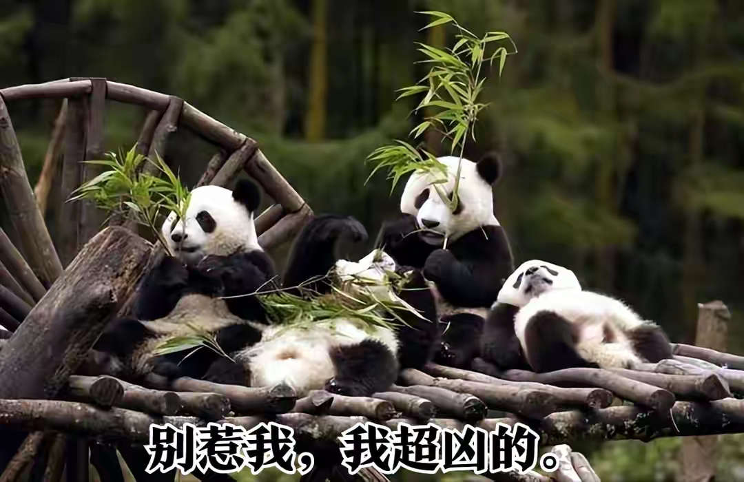 QQ圖片20230208104508.jpg
