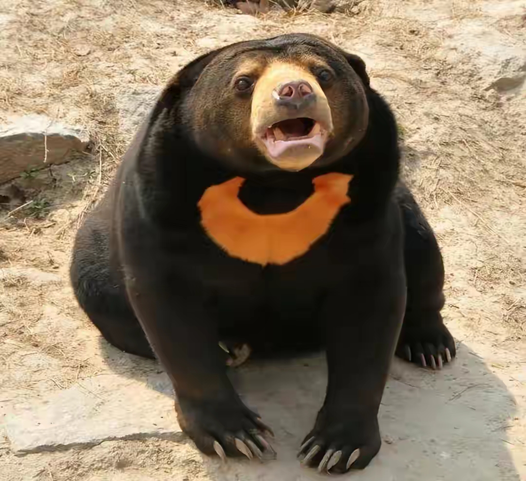 QQ圖片20230208104629.jpg