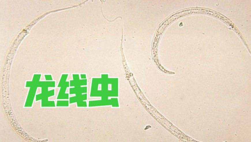 QQ圖片20220816104231.jpg