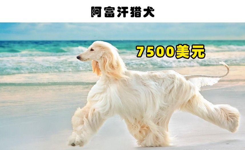 QQ圖片20221014220253.jpg