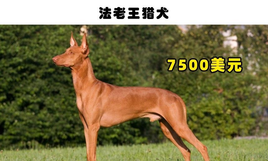 QQ圖片20221014220944.jpg