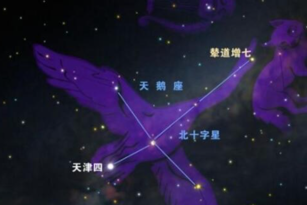 QQ圖片20221016220528.png