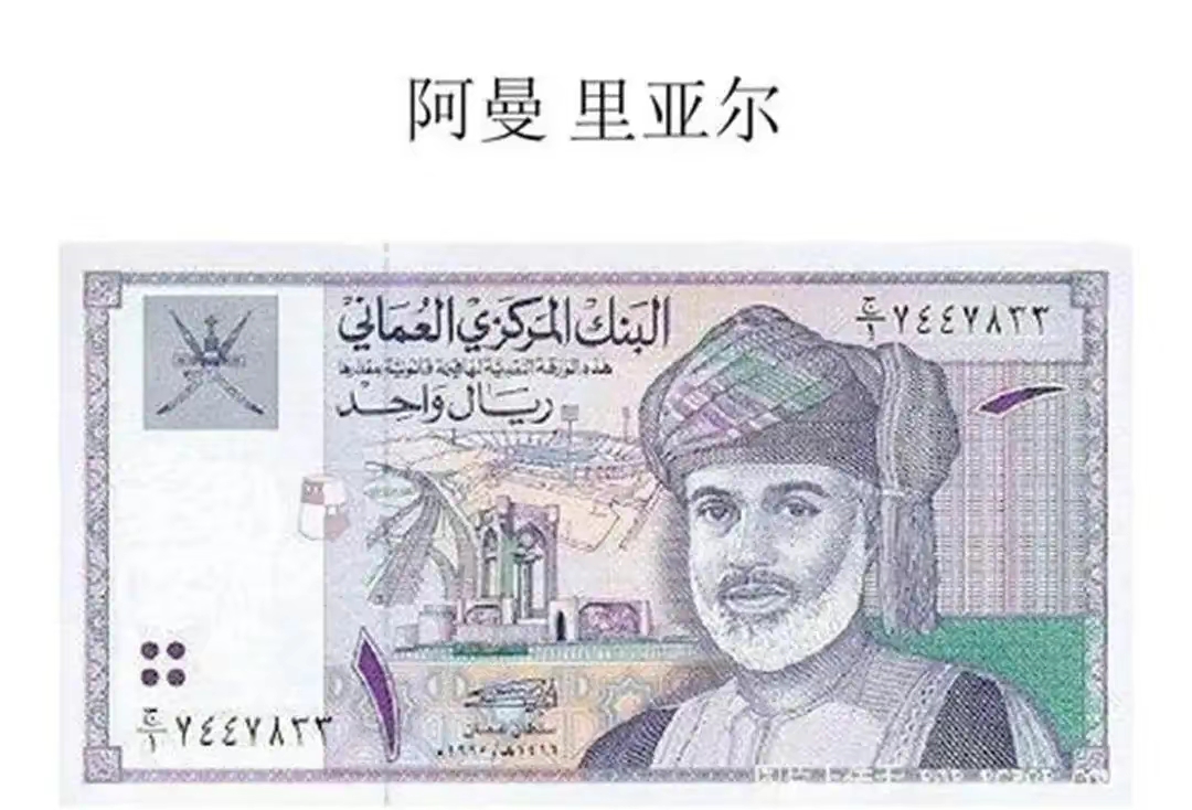QQ圖片20221230002157.jpg
