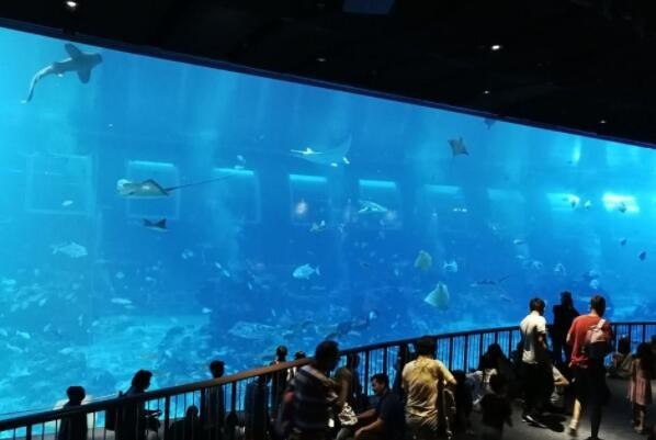 QQ圖片20230209001328.jpg