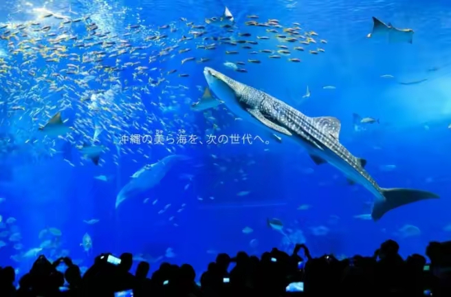 QQ圖片20230209001641.jpg