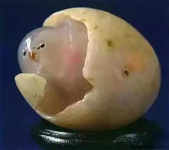 QQ圖片20230216235051.jpg