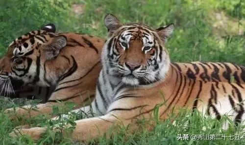 QQ圖片20230413164410.jpg