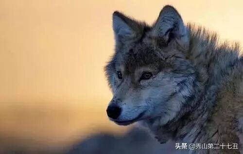 QQ圖片20230413164427.jpg