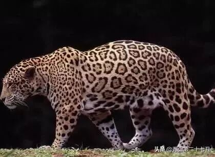 QQ圖片20230413164659.jpg