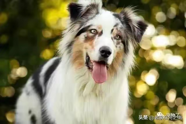 QQ圖片20230423223206.jpg