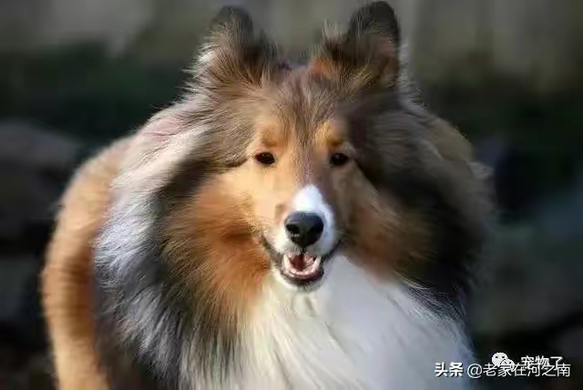QQ圖片20230423223227.jpg