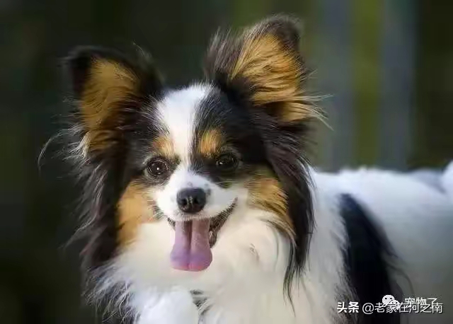 QQ圖片20230423223248.jpg
