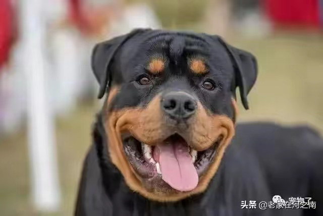 QQ圖片20230423223309.jpg