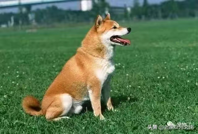 QQ圖片20230423223424.jpg