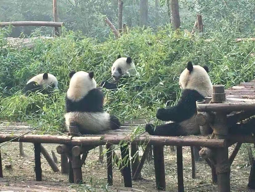 QQ圖片20230303210327.jpg